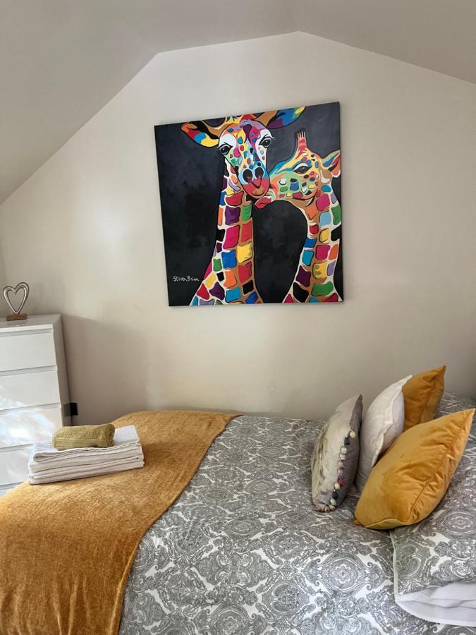 The Shed . A Cosy, Peaceful, 96% Recycled, Chalet. Apartment Swansea